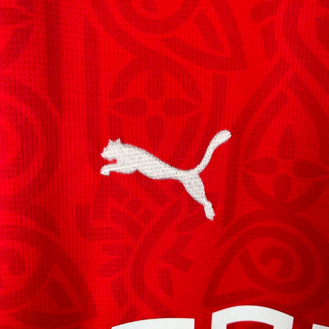Camisa Rennes Home I 2023/24 Puma Torcedor Masculina Vermelha com detalhes em preto, tecido leve e design clássico do Stade Rennais.”