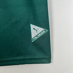 Camisa Palmeiras Pré Jogo 23/24 masculina Torcedor - verde