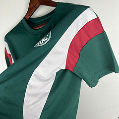 Camisa Palmeiras Pré Jogo 23/24 masculina Torcedor - verde