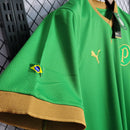 Camisa Palmeiras "70 ANOS COPA RIO 1951" 2021/22 Puma Masculina