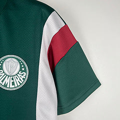 Camisa Palmeiras Pré Jogo 23/24 masculina Torcedor - verde