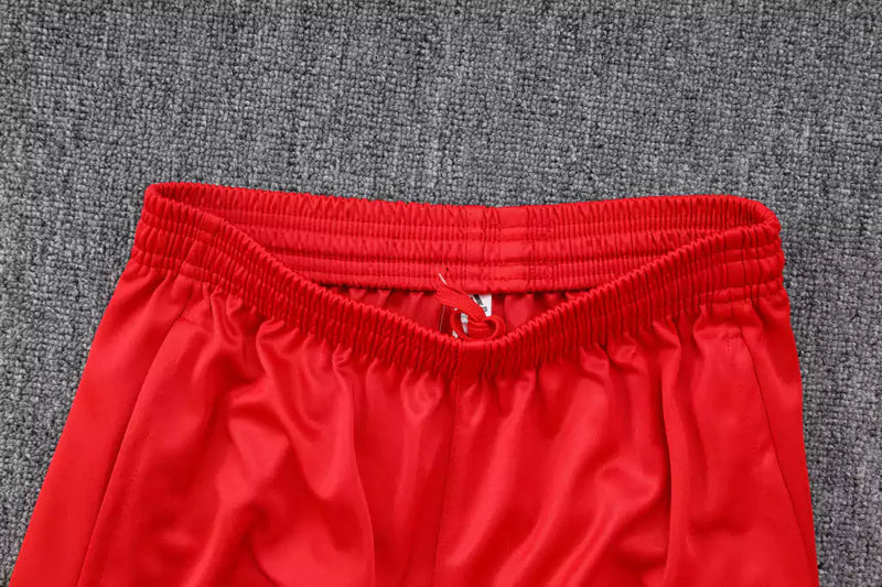 Conjunto Agasalho Treino Flamengo 2023/24 Adidas Masculino