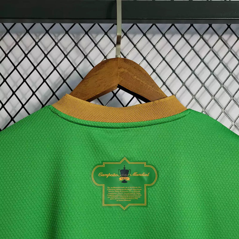 Camisa Palmeiras "70 ANOS COPA RIO 1951" 2021/22 Puma Masculina