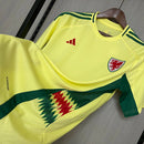 Camisa País de Gales Away II 2024/25 Adidas masculina amarela com detalhes em vermelho e verde, gola careca, mangas curtas e tecido leve respirável para torcedores"