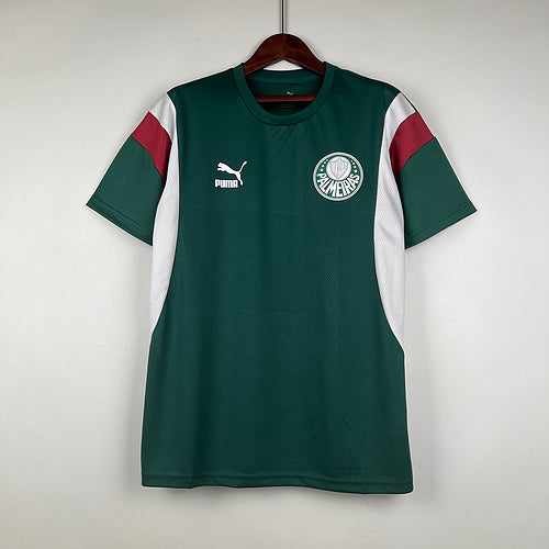 Camisa Palmeiras Pré Jogo 23/24 masculina Torcedor - verde