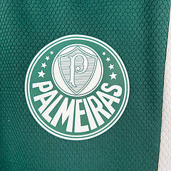 Camisa Palmeiras Pré Jogo 23/24 masculina Torcedor - verde