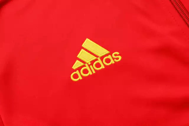 Conjunto agasalho Flamengo 2022/23 Masculina - Vermelho