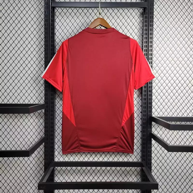 Camisa Internacional Treino 24/25 Torcedor Adidas - Vinho