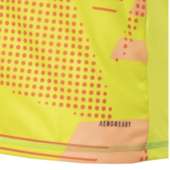 Camisa Flamengo Goleiro Home (1)  2025/26 Adidas Torcedor Masculina - Amarelo