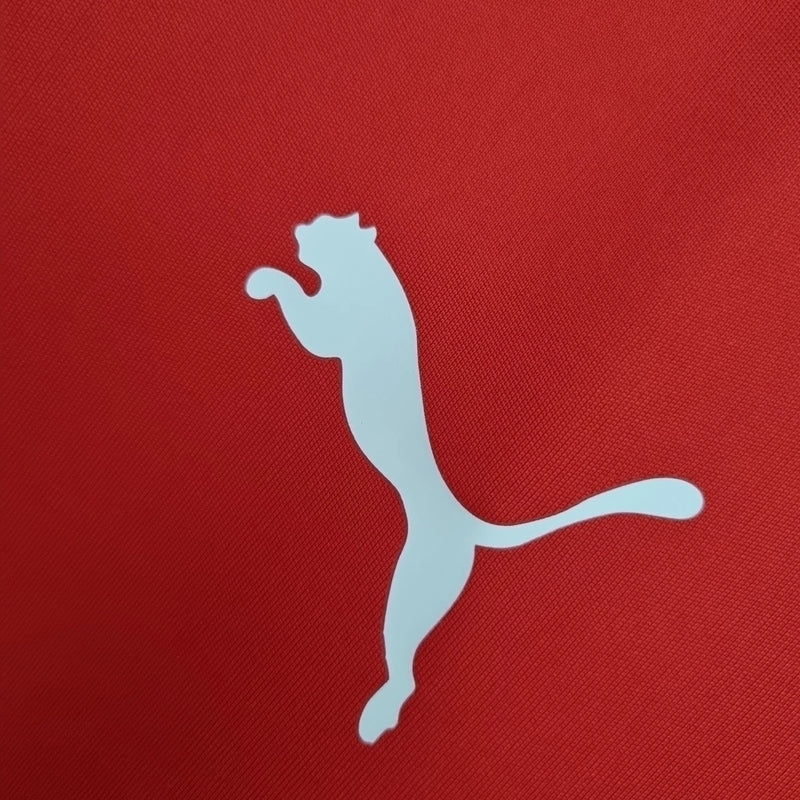 Camisa do Chile 2014 retrô masculina Puma vermelha, modelo Home Copa do Mundo, uniforme clássico da seleção chilena com gola polo azul, escudo bordado e tecido leve."
camisa do Chile 2014
camisa retrô Chile masculina
camisa Puma seleção chilena
camisa Copa do Mundo Chile